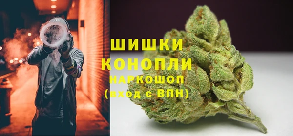 МДПВ Волоколамск