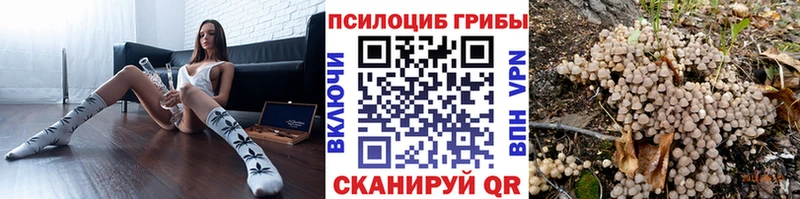 Псилоцибиновые грибы MAGIC MUSHROOMS  купить наркотики сайты  блэк спрут как войти  Коломна 